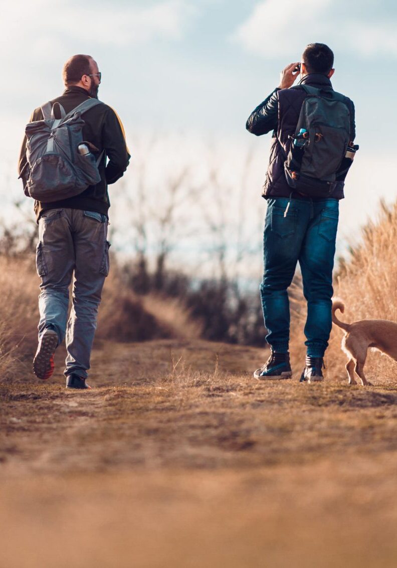 shutterstock_1747510778